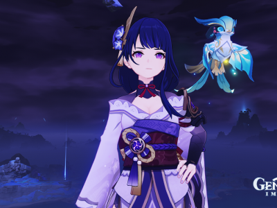 Raiden Shogun ascension materials genshin impact