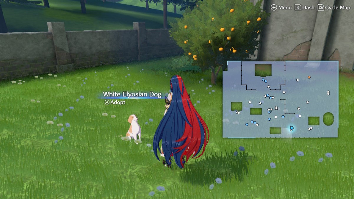 How to Adopt Animals in Fire Emblem Engage Farmyard