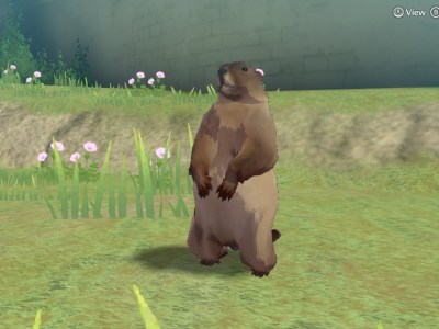 How to Adopt Animals in Fire Emblem Engage