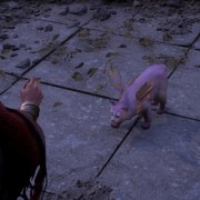 Forspoken Cat Person