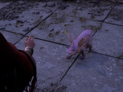 Forspoken Cat Person