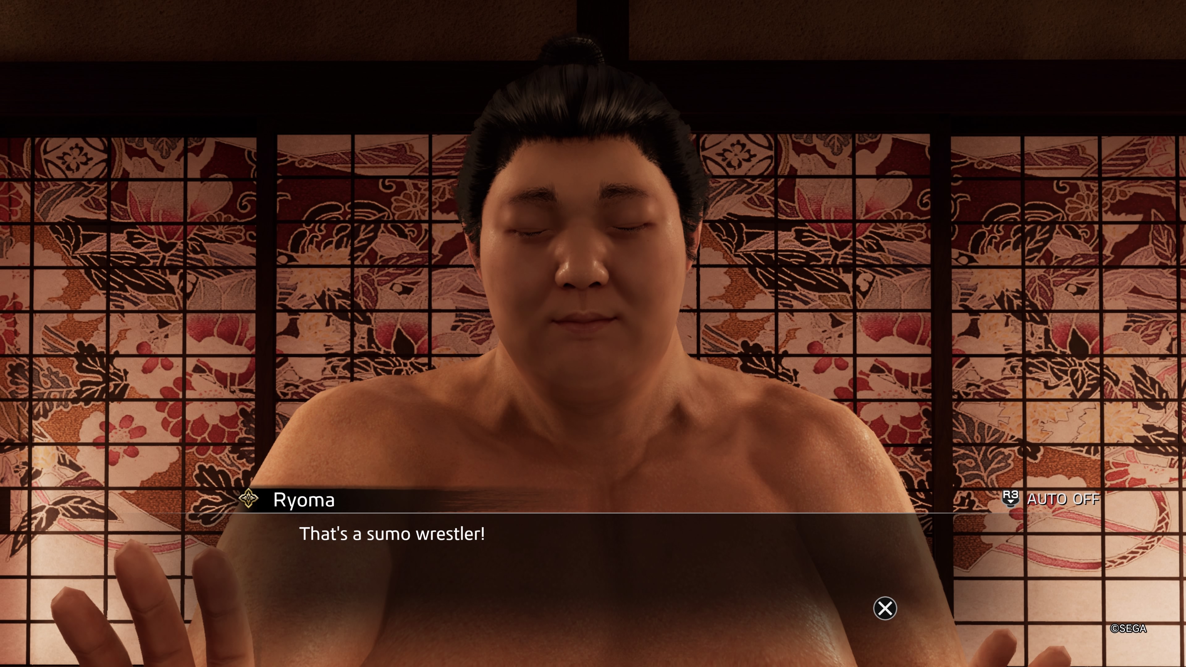 I Didn't Expect Like a Dragon: Ishin's Sumo Brothel Substory Yakuza