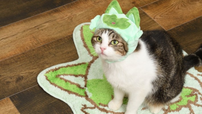 Sprigatito Cat Hat is Part of Pokemon Pet Merchandise Lineup