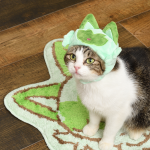 Pokemon Sprigatito merchandise cat hat