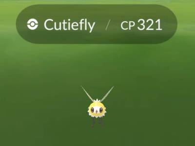How to Catch Cutiefly and Evolve It into Ribombee in Pokemon GO