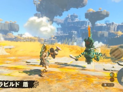 legend of zelda shield