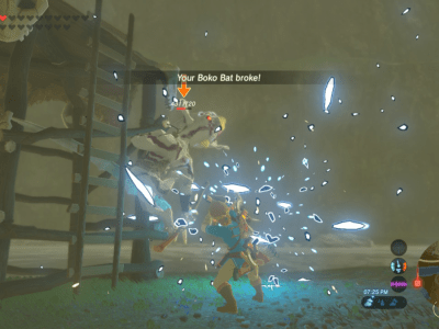 Breath of the Wild Durability