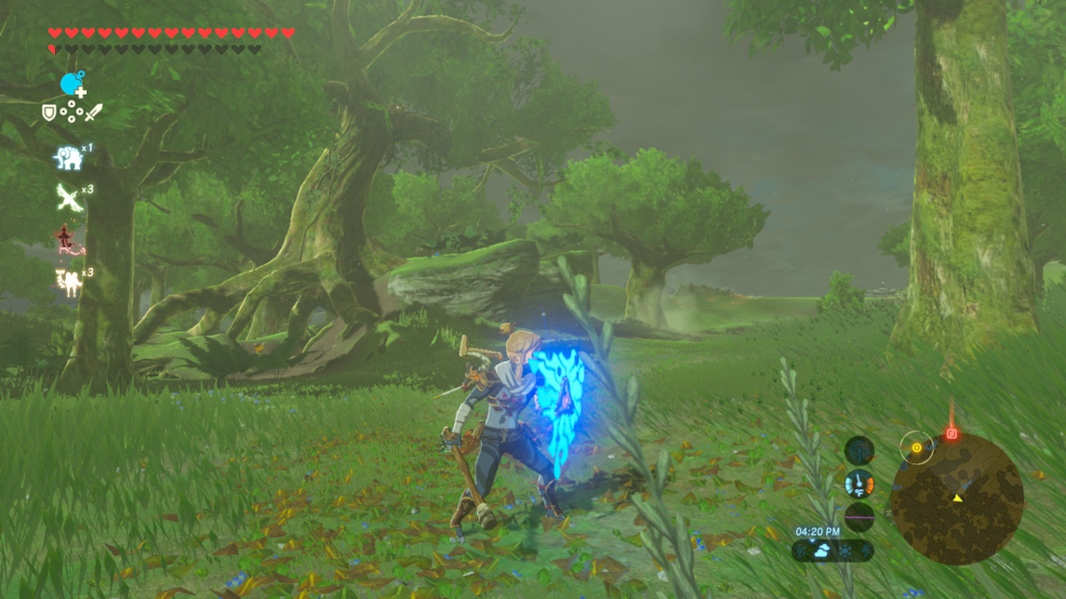 Breath of the Wild weapon Durability Torch Weapon