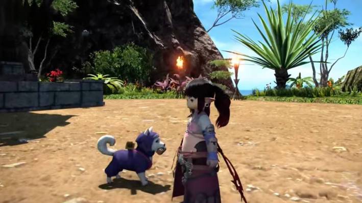 Final Fantasy XIV Getting New Axolotl Mount and Ninja Dog Minion