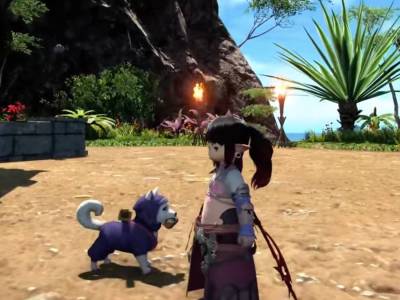 Final Fantasy XIV Getting New Axolotl Mount and Ninja Dog Minion