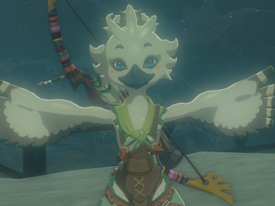 I Didn’t Know I’d Love Tears of the Kingdom’s Tulin so Much