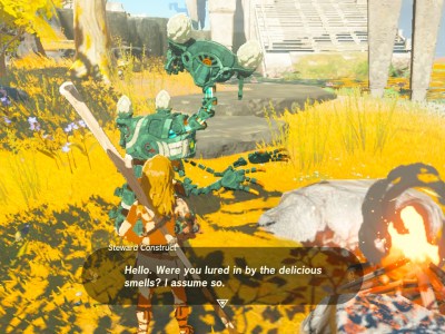 I Love the Tears of the Kingdom Friendly Constructs