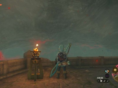 Link with the Hylian Shield in Tears of the Kingdom.