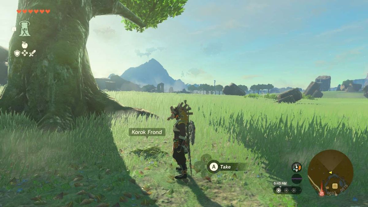 Location of a Korok Frond in Tears of the Kingdom.