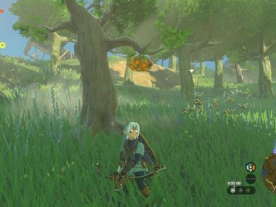 Where to Get Courser Bee Honey in Tears of the Kingdom.