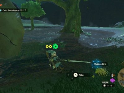 Link cutting grass to farm Hylian Rice in Tears of the Kingdom.