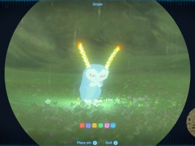 A Blupee white rabbit in Tears of the Kingdom.