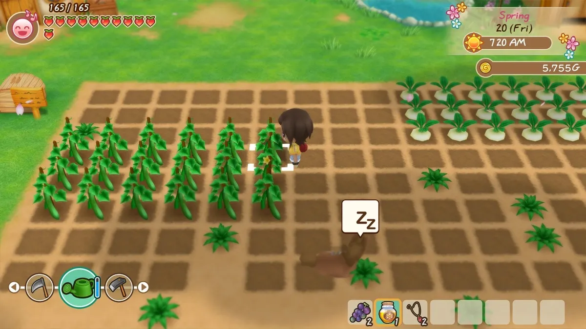 How to play all Harvest Moon and Story of Seasons games