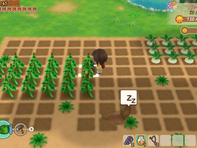How to play all Harvest Moon and Story of Seasons games
