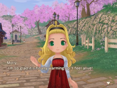 Do friendships degrade over time in Story of Seasons: A Wonderful Life?