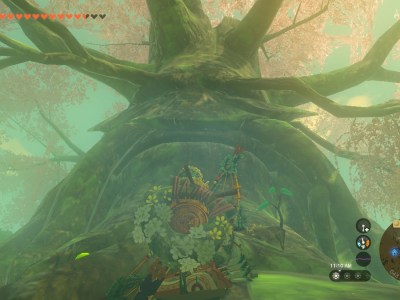 How to Get Through the Lost Woods in Tears of the Kingdom
