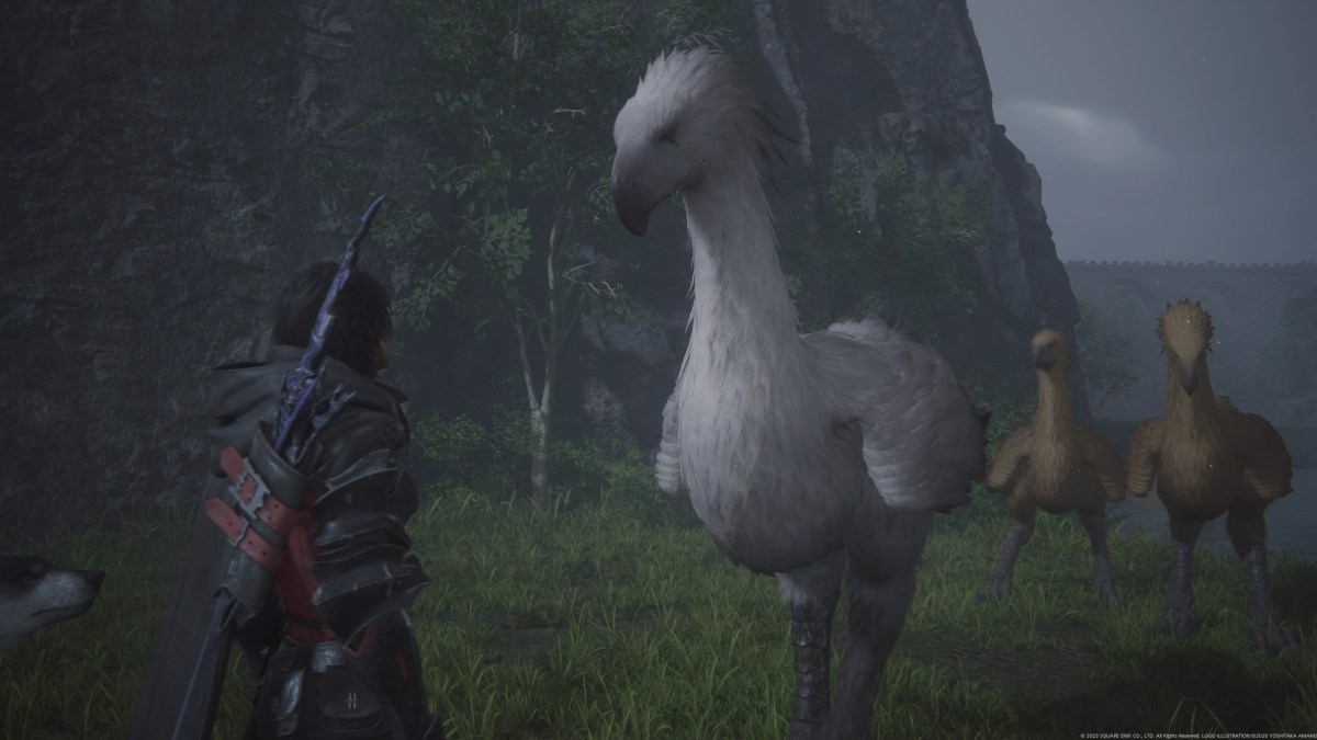 FINAL FANTASY XVI © 2023 SQUARE ENIX CO., LTD. All Rights Reserved.