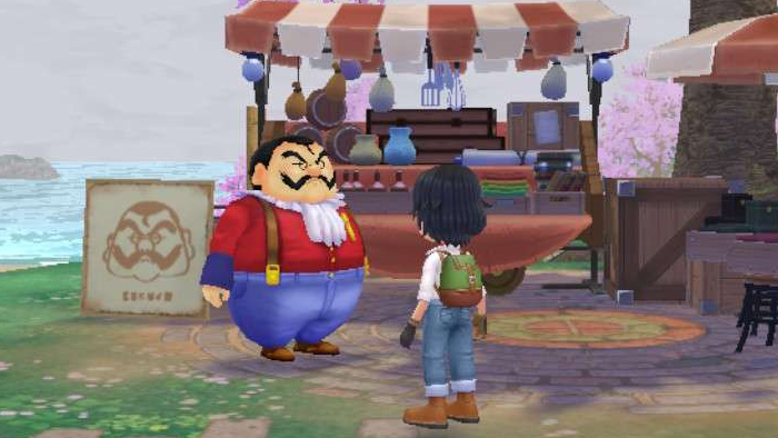 Fishing Pole Story of Seasons A Wonderful Life