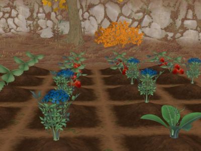 Best Fall Crops in Story of Seasons: A Wonderful LIfe.