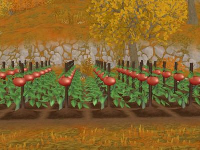 Best Spring Crops in Story of Seasons: A Wonderful Life.