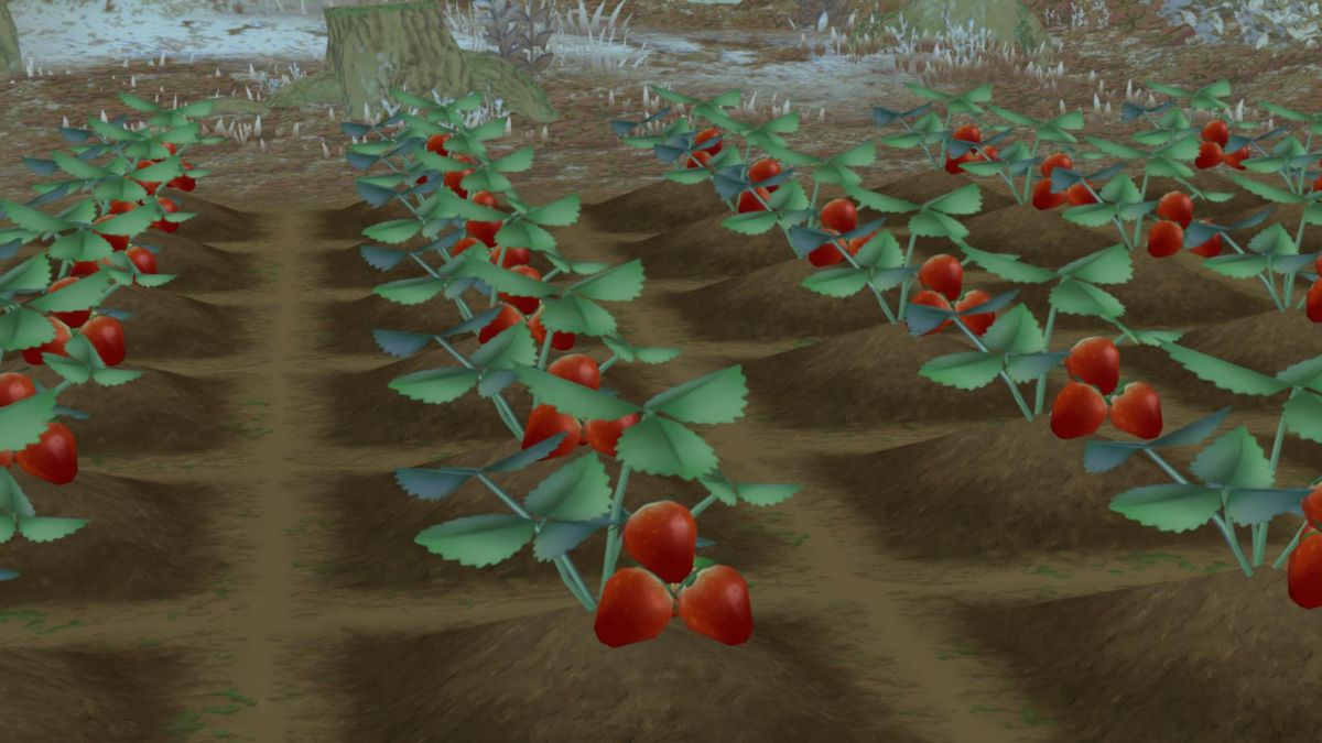 Best Winter Crops in Story of Seasons A Wonderful Life Siliconera