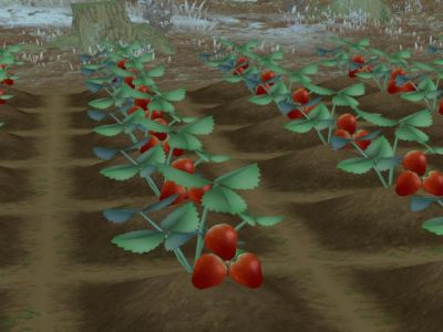 Best Winter Crops in Story of Seasons: A Wonderful Life