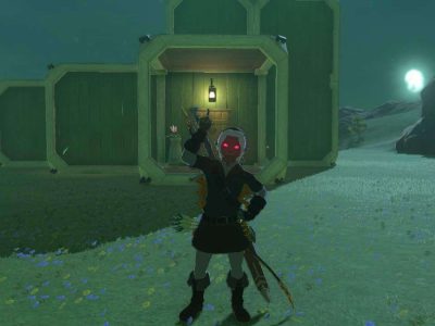 A screenshot of Link's house in Tears of the Kingdom.