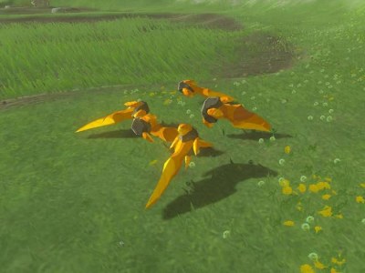 A screenshot of Amber in The Legend of Zelda: Tears of the Kingdom.