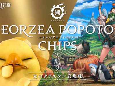 FFXIV Chips Sold Out