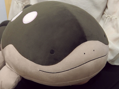 pokemon potehug cushions clodsire header