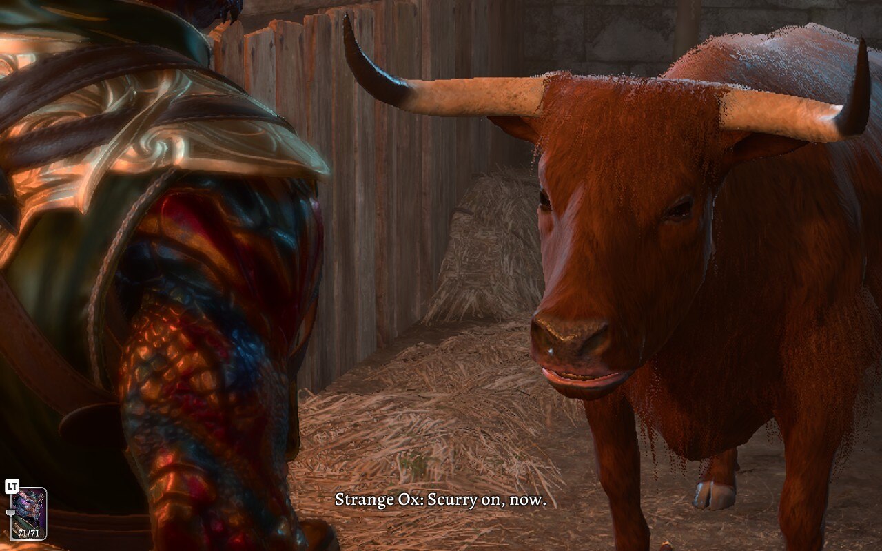 Should You Kill the Baldur’s Gate 3 Strange Ox? (BG3) Siliconera