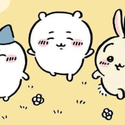 Chiikawa Spot the Difference