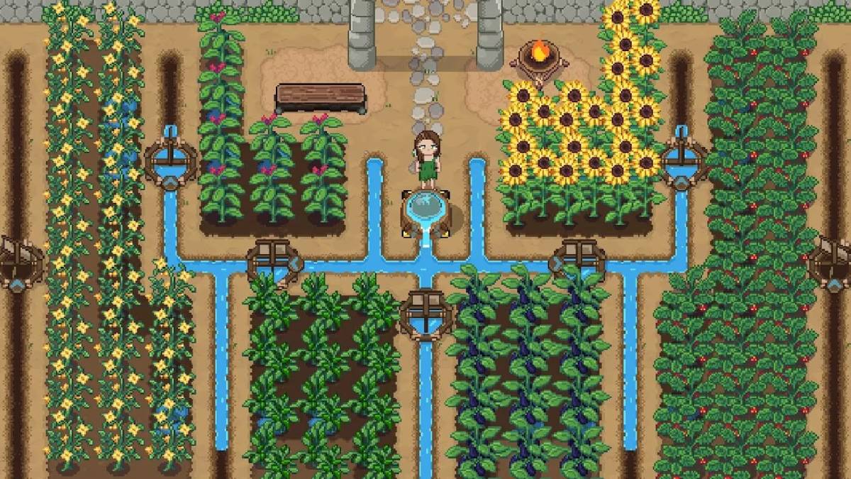 Roots of Pacha Switch Port Is an Ideal Way to Play