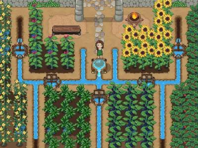 Roots of Pacha Switch Port Is an Ideal Way to Play