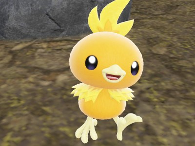 Where To Find Torchic In Pokemon's Indigo Disk DLC (& How To Catch)