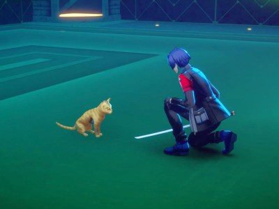 How to Feed Hungry Cat in Persona 3 Reload (Elizabeth Request)
