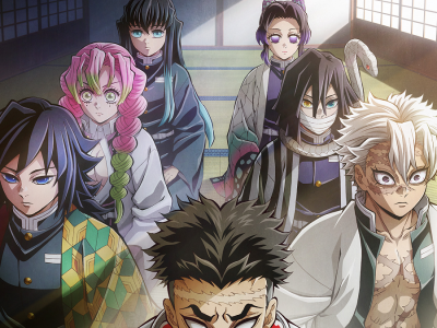 demon slayer hashira training arc