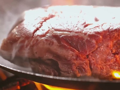 dragon's dogma 2 meat