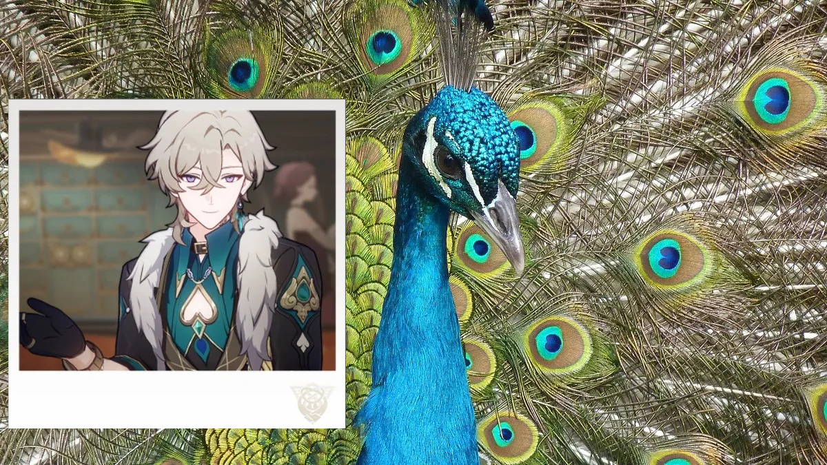 aventurine peacock