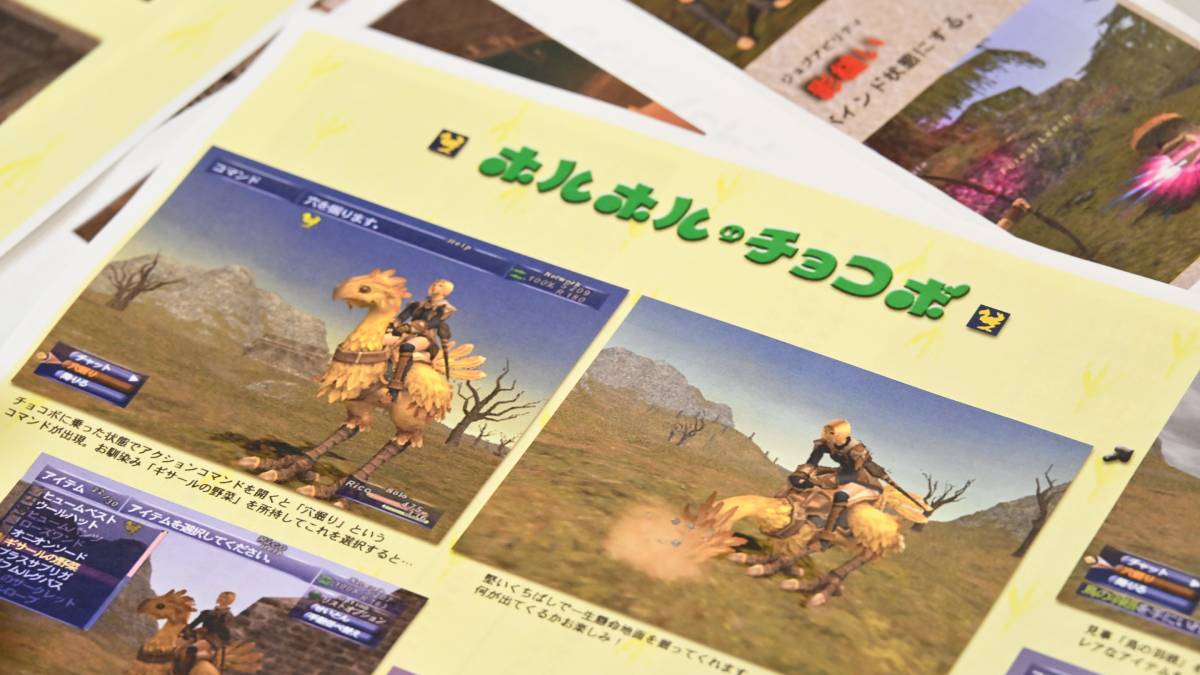 Final Fantasy XI Windows PC Version Planned From the Start