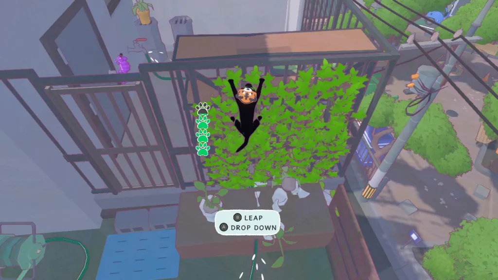 Where Is the Little Kitty, Big City Chameleon