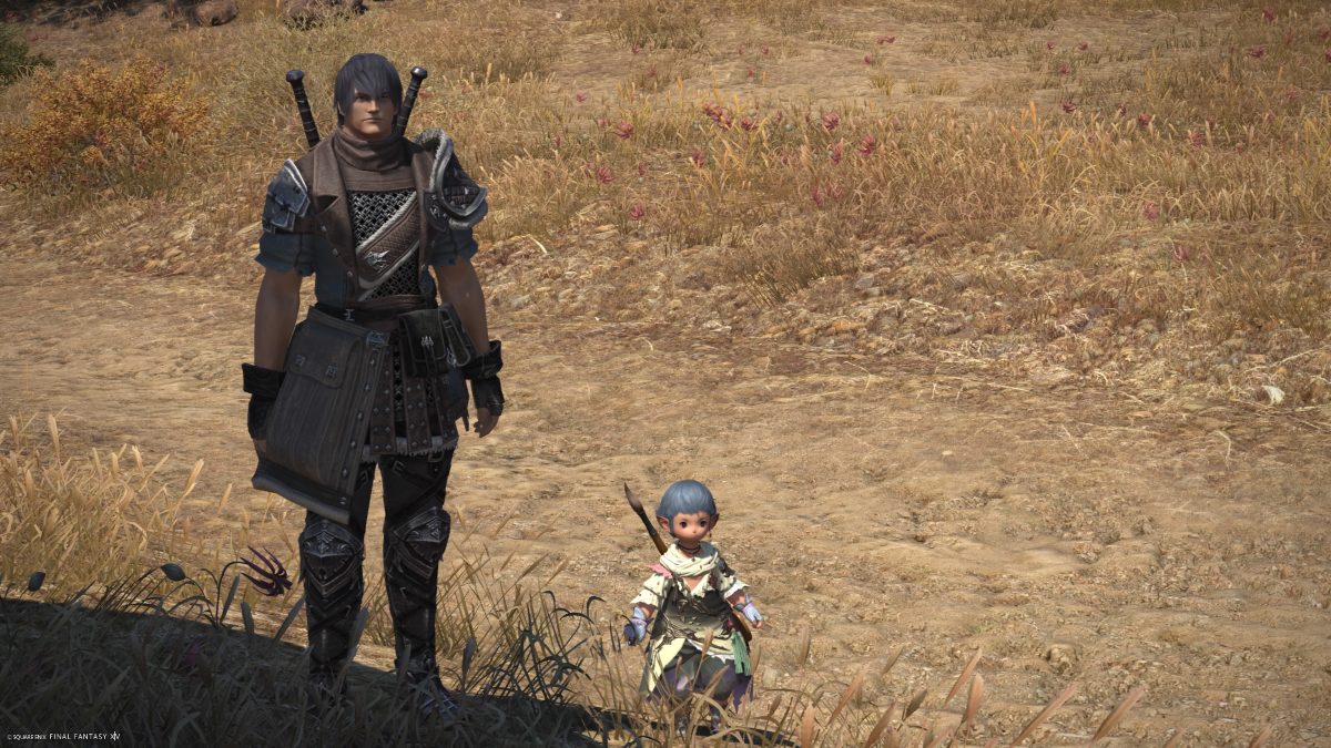 How to Hide Players Near NPC Quests in FFXIV Dawntrail Siliconera