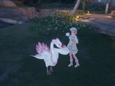 How to Groom Swans in Infinity Nikki