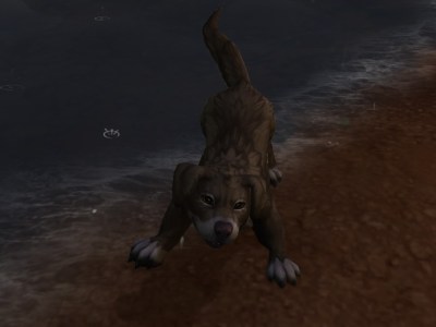 The Marmaduke Battle Pet in World of Warcraft