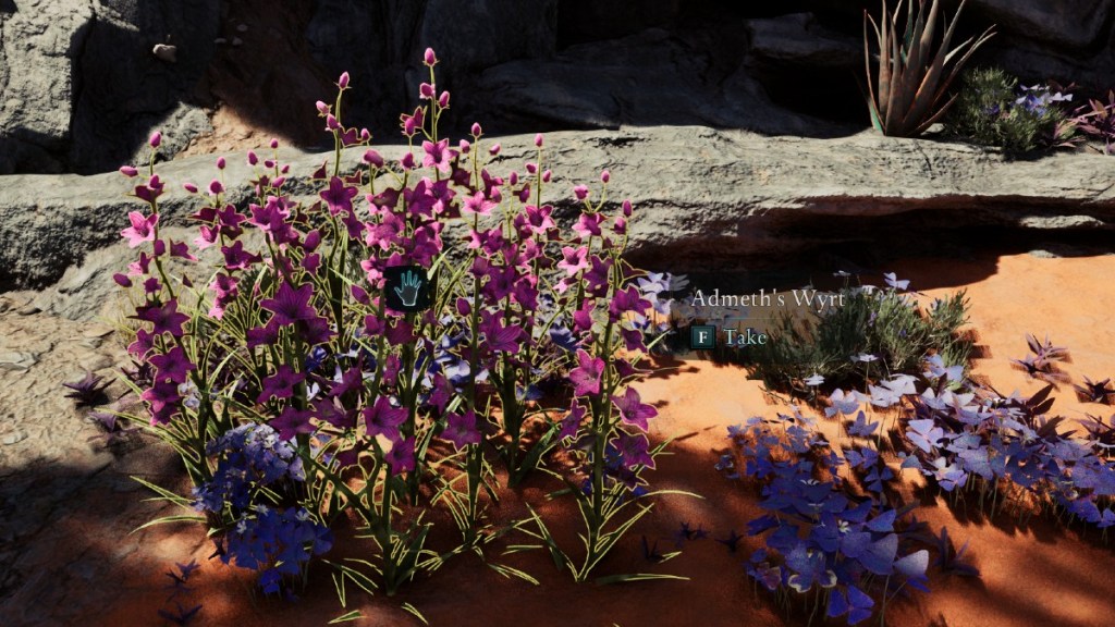 Admeths Wyrt herb in Avowed - it takes the appearance of long grass steps with 5-pointed pink blossoms